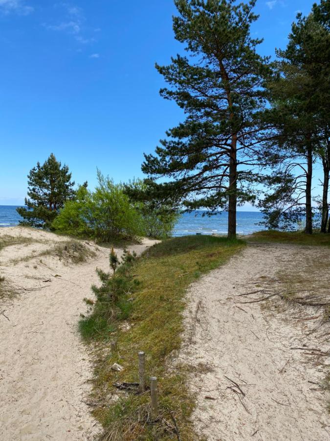 Brivdienu Maja Riekstnieki Plienciems Bagian luar foto